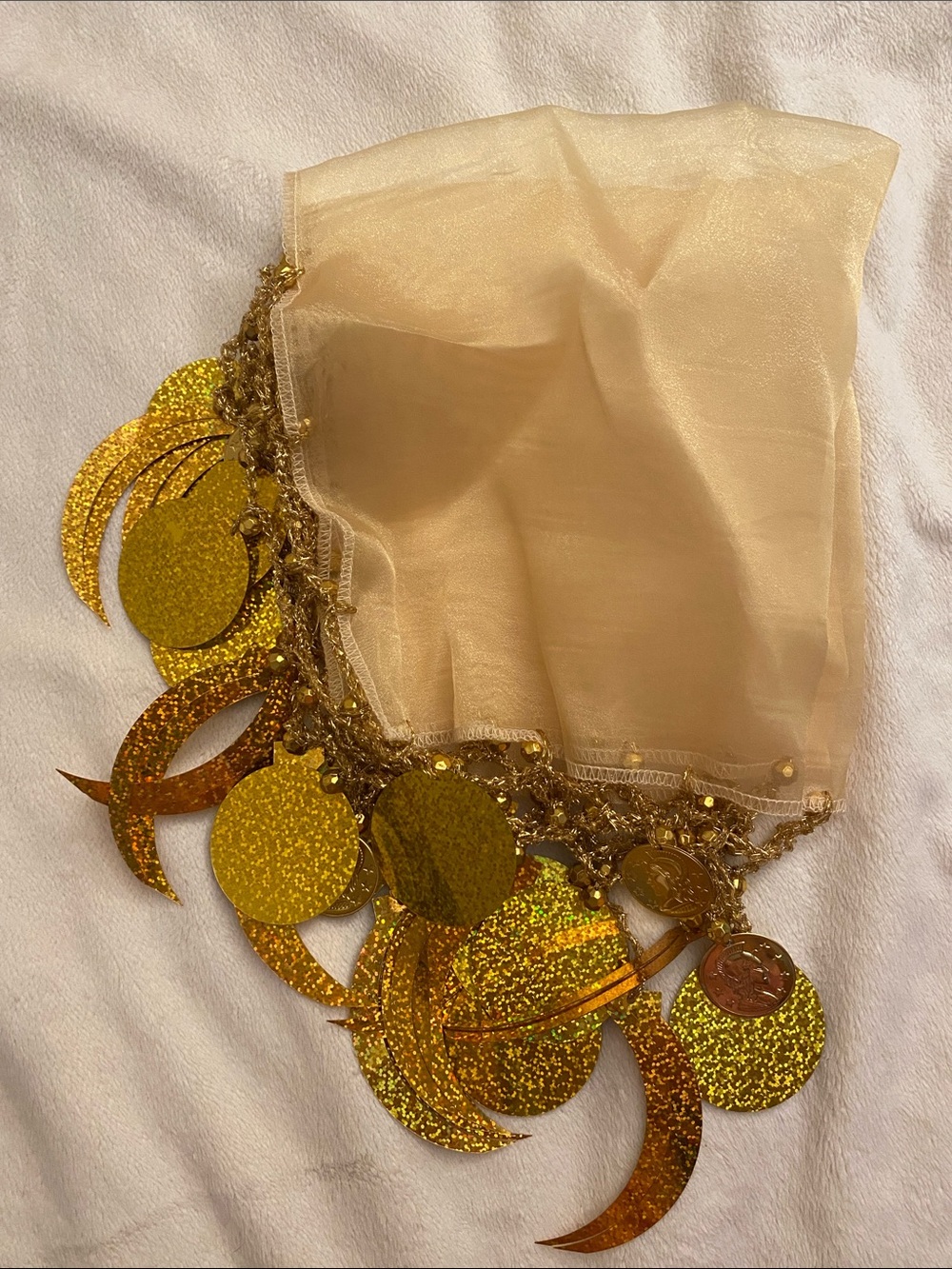 Gold Sequin Trim Sheer Scarf Wrap